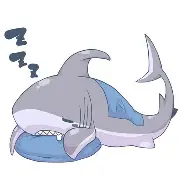 shark